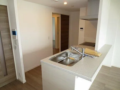 パークサンリヤン博多の森Ⅴ【1202号室】のキッチン