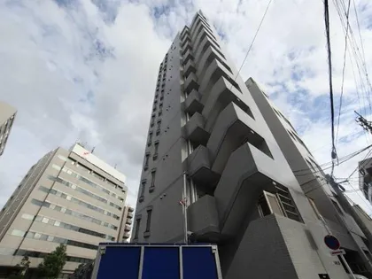 ヒョウノビルの画像