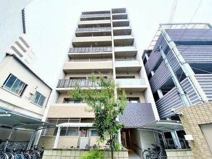 パインリッチの画像