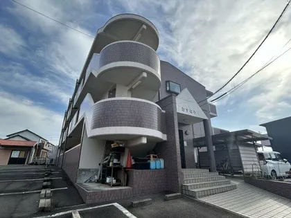 あすなろの画像