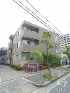 スペランサの画像