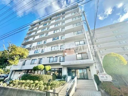 大阪府八尾市東久宝寺1丁目【マンション】の外観