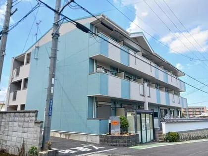 シェーネの画像