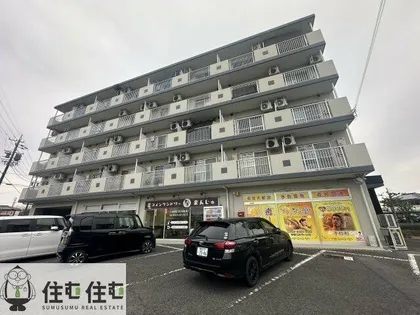 ステップVIIIの画像