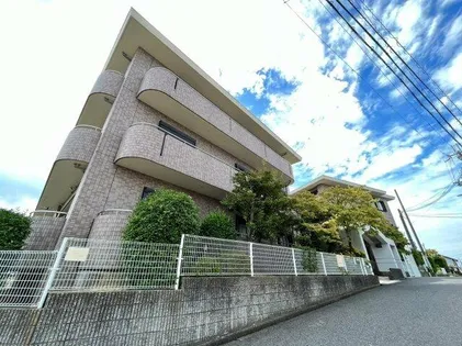 大阪府堺市南区和田東【マンション】の外観