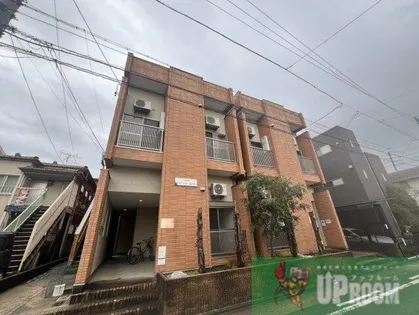 フリージアの画像