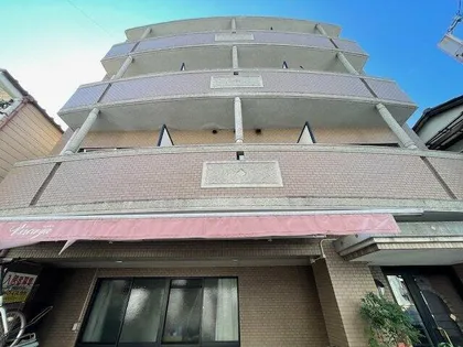 ヴィスカヤの画像