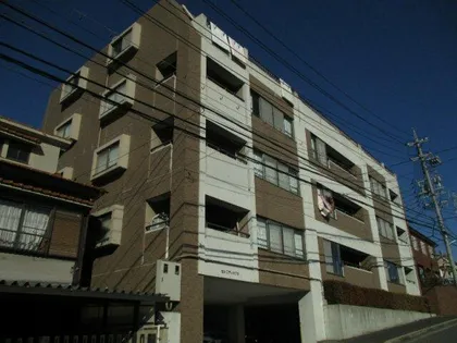 セレニティキフネの画像