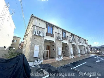 パイン ツリーの画像