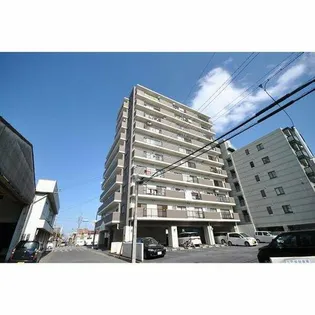 サニーハイツ林【9階】の外観