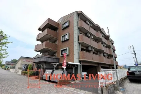 メゾン・カメリア【3階】の外観