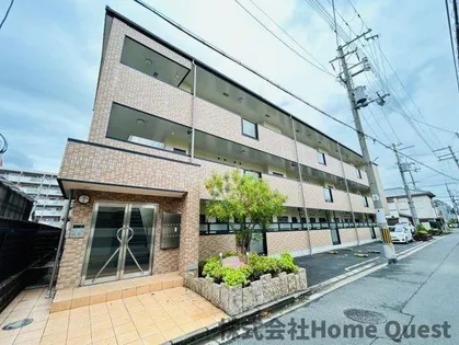 セイバリーレインの画像