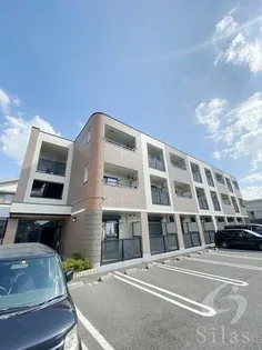 M Yコートの画像