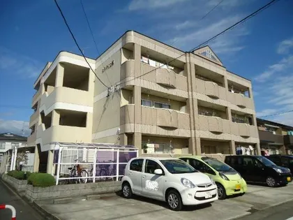 セフティ上坂の画像