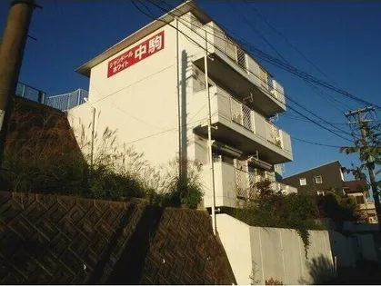 シャンドールホワイト中駒の画像