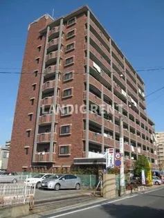 ソルト ヴィースの画像