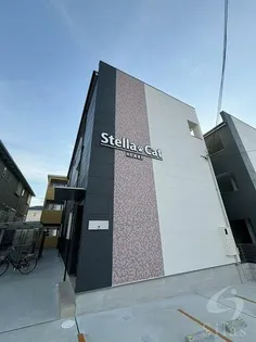 ステラキャットハート【2階】の外観