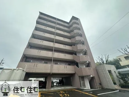 けやき通りの画像