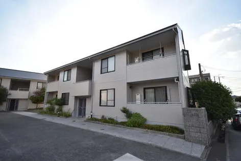 フォレストMの画像