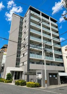 ステラ桜川の画像