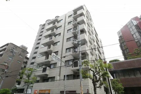 セントポーリア アビコの画像