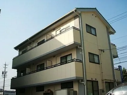 ヒナバシヒルの画像