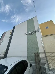 ステラキャットクローバー【1階】の外観