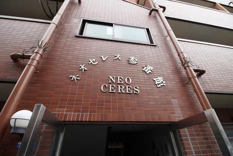 ネオセレス参番館【408号室】の外観