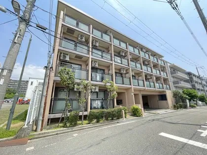 セントポーリアの画像