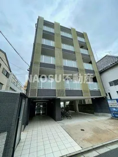 ネモフィラの画像