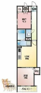 フォレストクリエオーレ宮前町壱番館【3階】の間取り