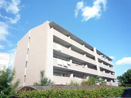 バウムドルフの画像