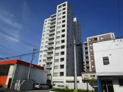 ルラシオン北7条【1407号室】の外観