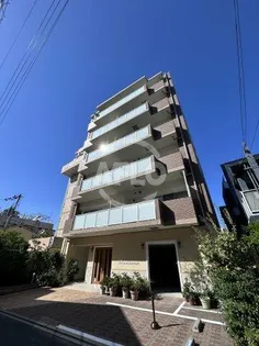ルネサンスの画像
