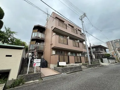パピヨン青木の画像