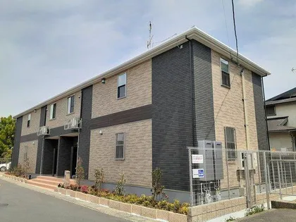 シェモアの画像