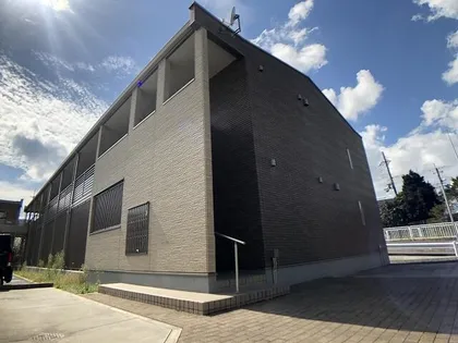 ミランダ阿星2の画像