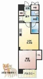 マスターズレジデンス道頓堀Ⅲ【7階】の間取り