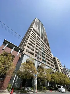 エルザグレース堀江タワーの画像
