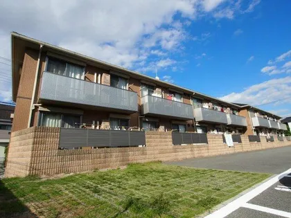 アークグレイスの画像