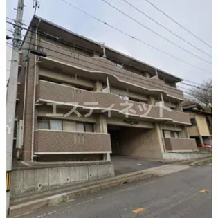 ファンシアの画像