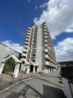 大阪府寝屋川市太間東町【マンション】の外観