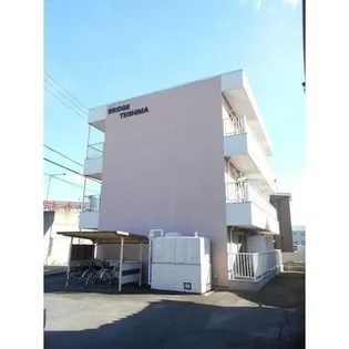 ブリッジテシマの画像