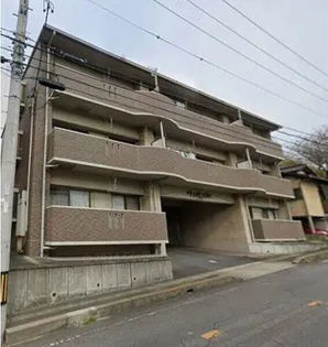 ファンシアの画像