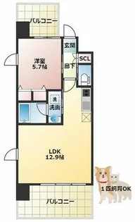 Dimus福島【8階】の間取り