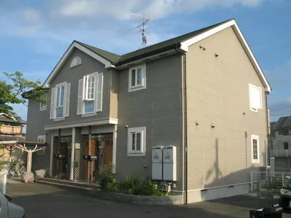 オリーブ長尾の画像