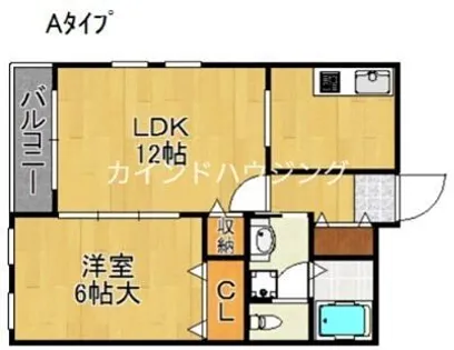 アークホーク【1階】の間取り