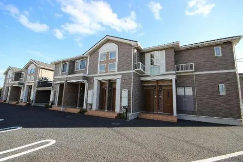 プラシードの画像