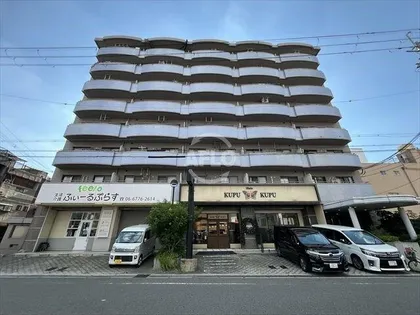 インフィルドハイツ【8階】の外観