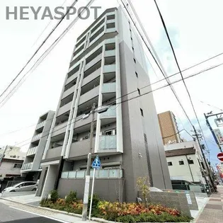 コートバスクの画像